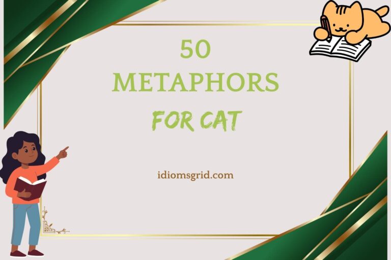 metaphors for cat