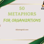 metaphors for organizations